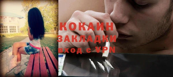 тгк Алексин