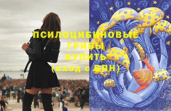 а пвп мука Алзамай