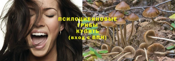 тгк Алексин
