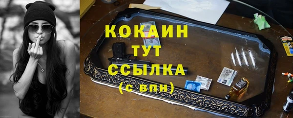 тгк Алексин
