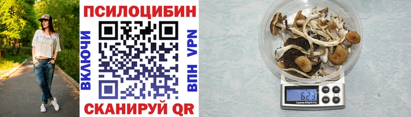 Галлюциногенные грибы GOLDEN TEACHER  mega tor  Апшеронск 